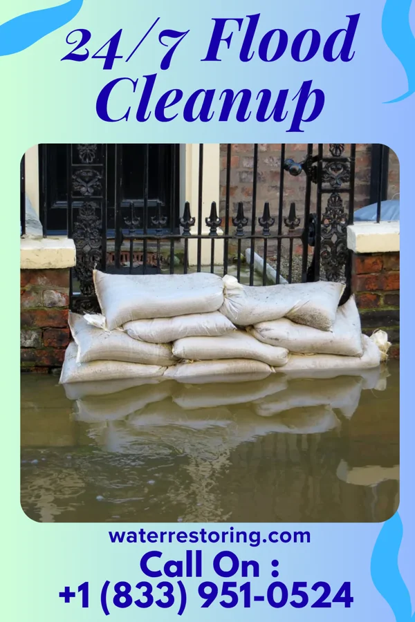 24/7 Flood Cleanup in Arcola, MS