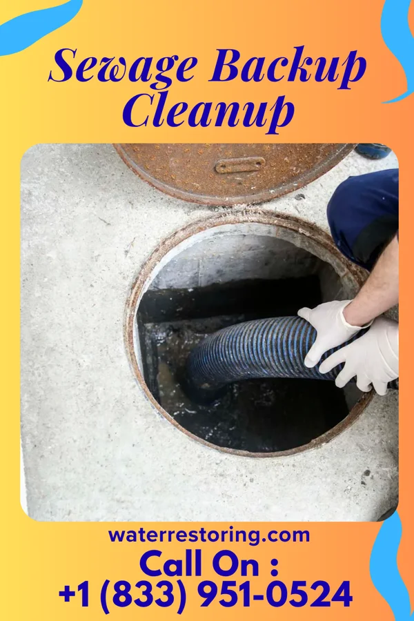 Sewage Backup Cleanup in Arcola, MS